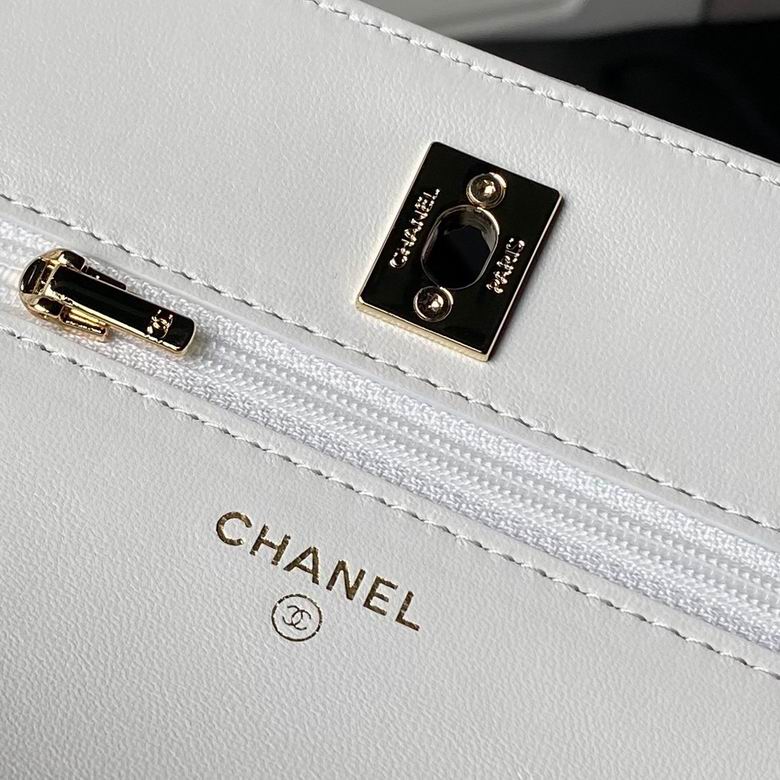 AP3952 19cm BL 4色 32