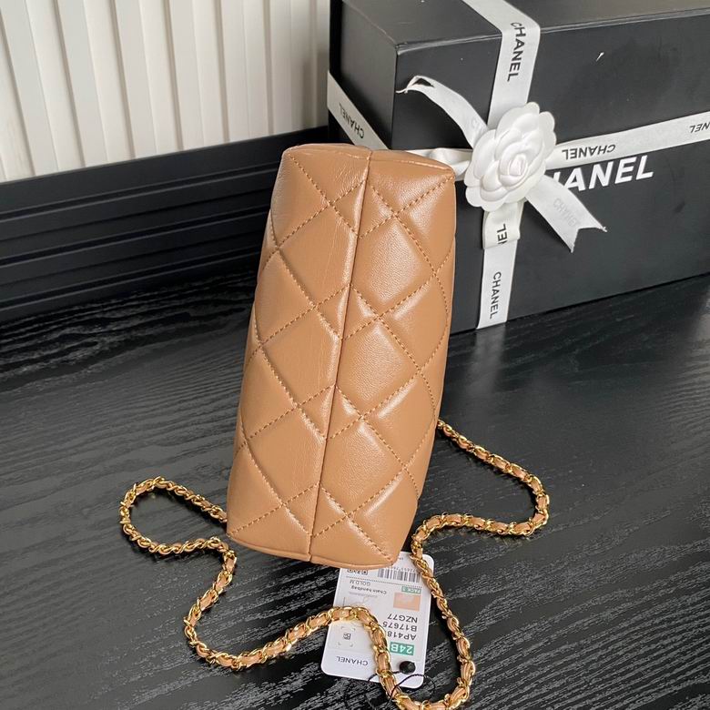 AP4189 18.5cm BL 3色 5