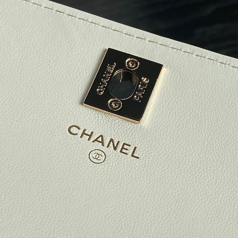 Ap4184 18.5cm BL 2色 6