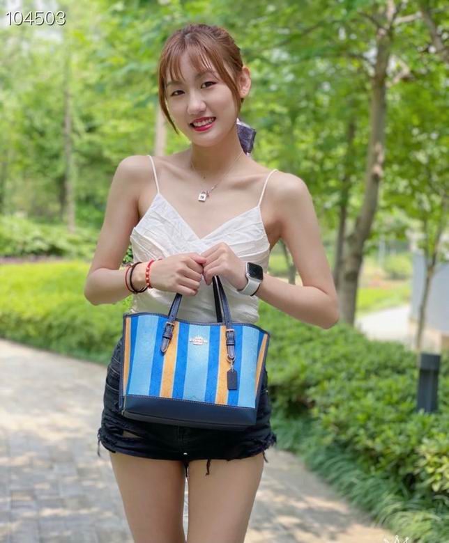 C408 25X19X12cm AZ 0