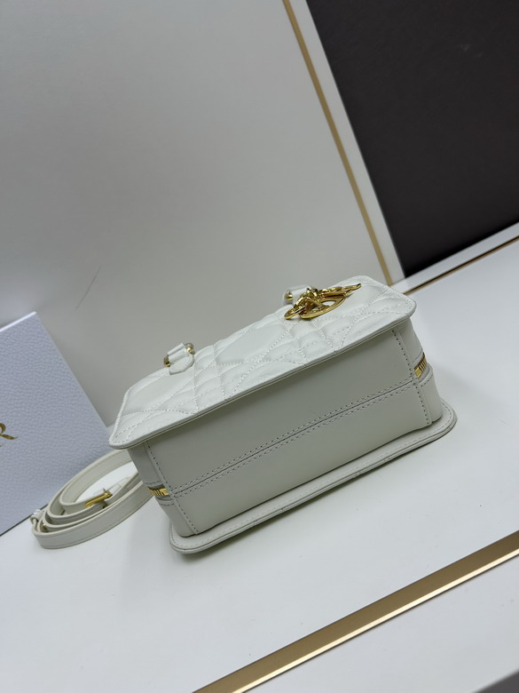 Dior Toujours 0315 20x12x8cm jj3_5