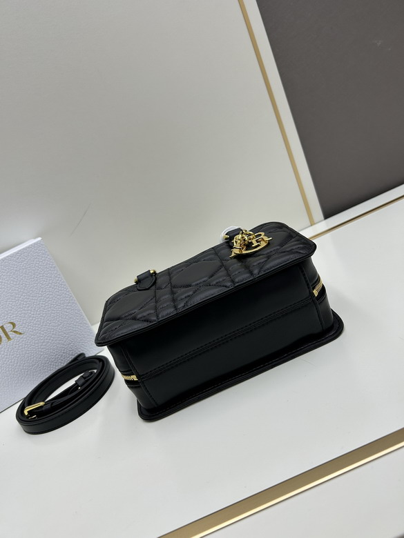 Dior Toujours 0315 20x12x8cm jj_5