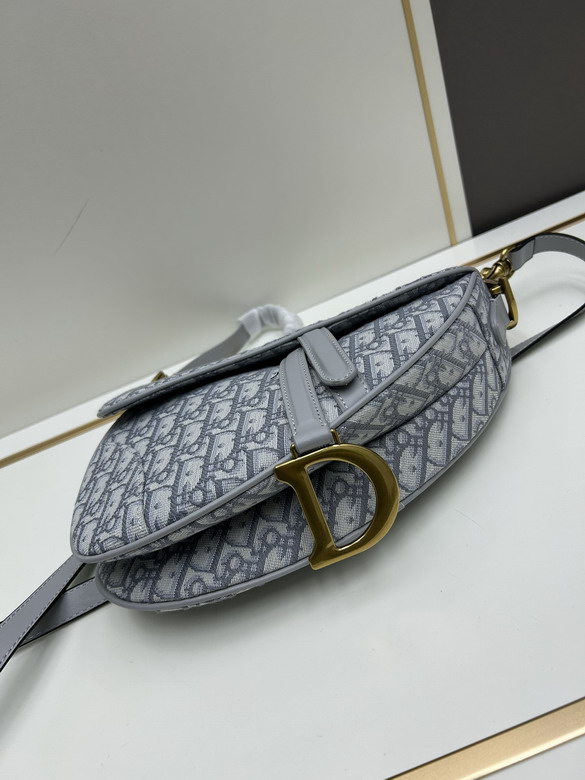 Dior saddle 886888 25 5x20x6 5cm jj_5