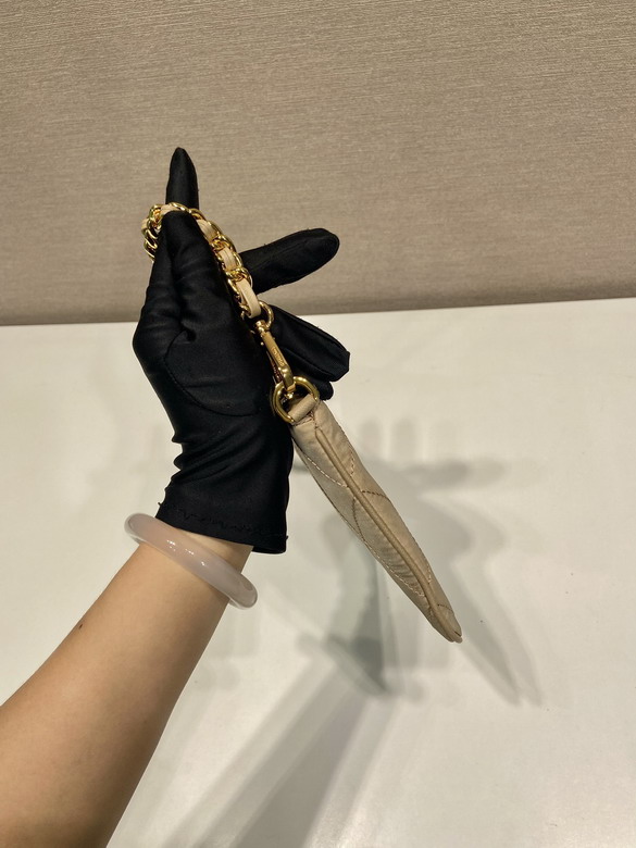 Prada Hobo 1Nl054 24 5x14cm AP1_6