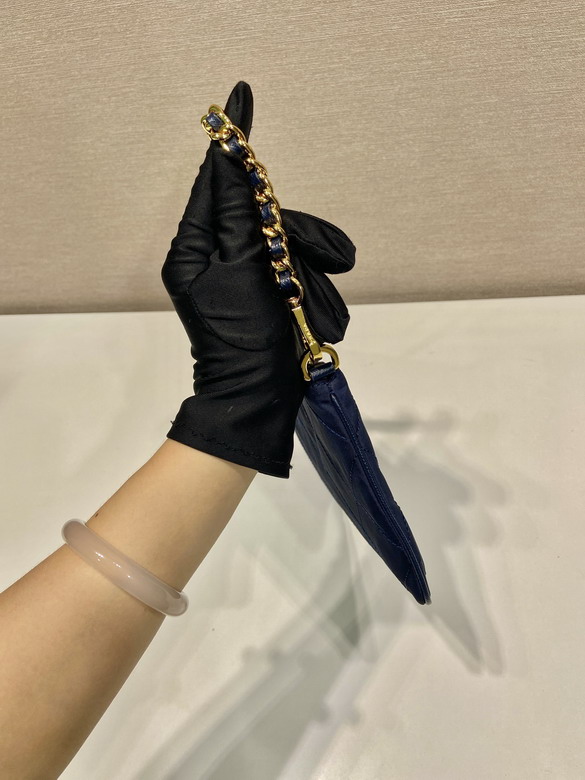 Prada Hobo 1Nl054 24 5x14cm AP_7