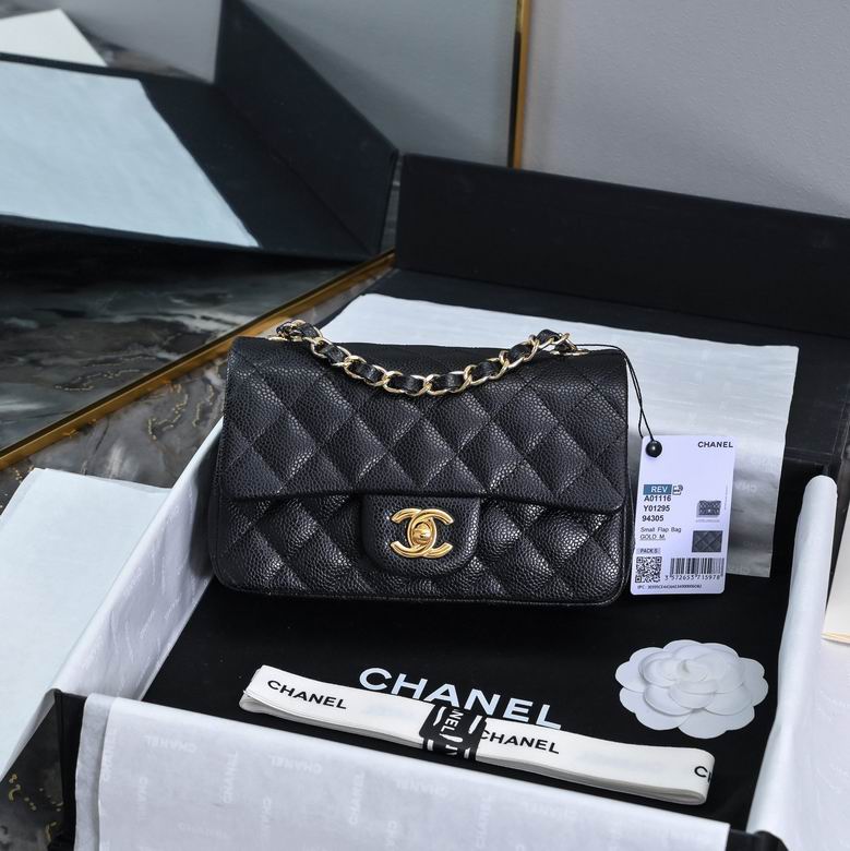 A01116 20cm BL 4色 0