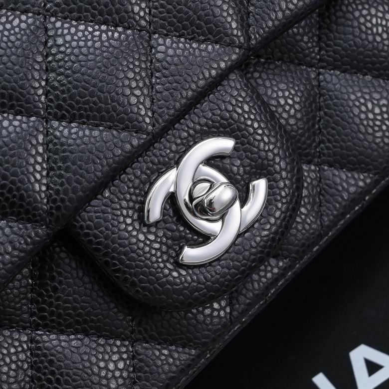 A01116 20cm BL 4色 12