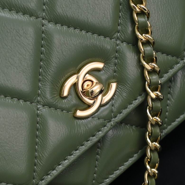 AP4166 19cm BL 4色 13