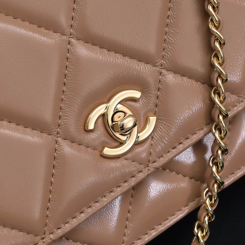 AP4166 19cm BL 4色 22