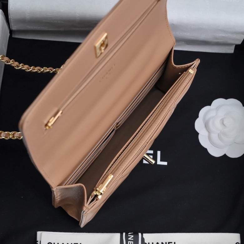 AP4166 19cm BL 4色 24