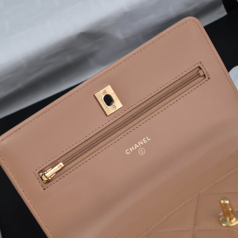 AP4166 19cm BL 4色 25