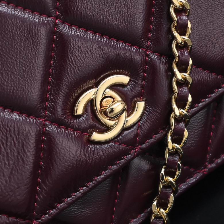 AP4166 19cm BL 4色 4