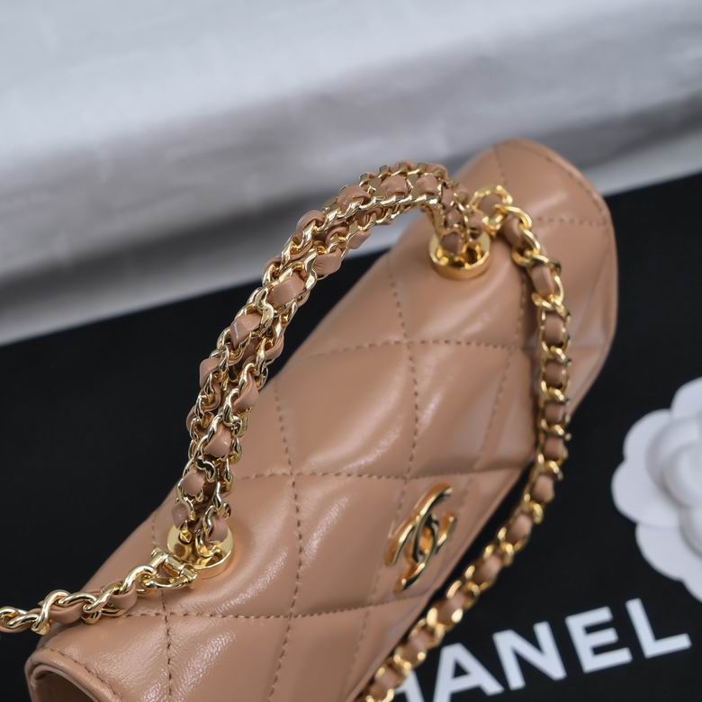 AP4167 17cm BL 4色 21