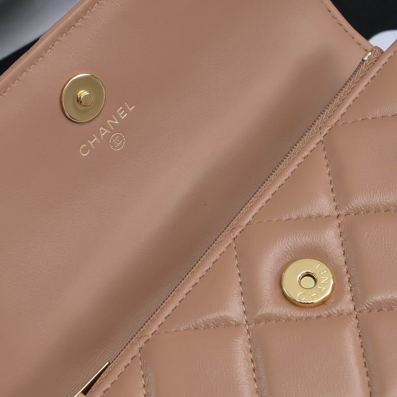 AP4167 17cm BL 4色 25