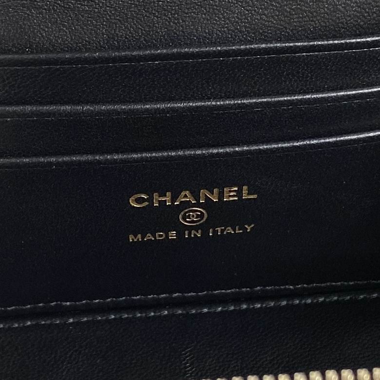 AP4301 17cm BL 5色 8