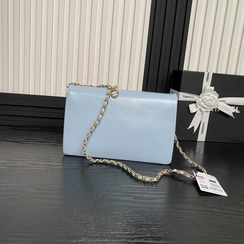 AS5180 17X26X8cm BL 2色 10