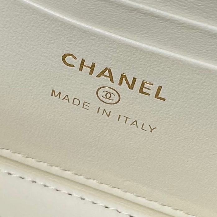 AP3956 17cm BL 2色 17