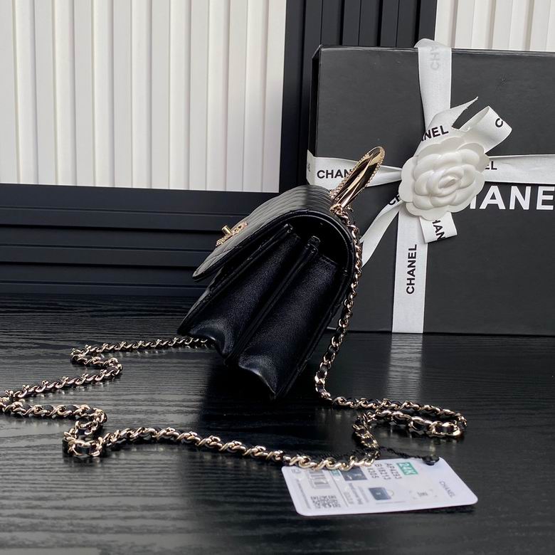 AP4293 18.5cm BL 4色 5