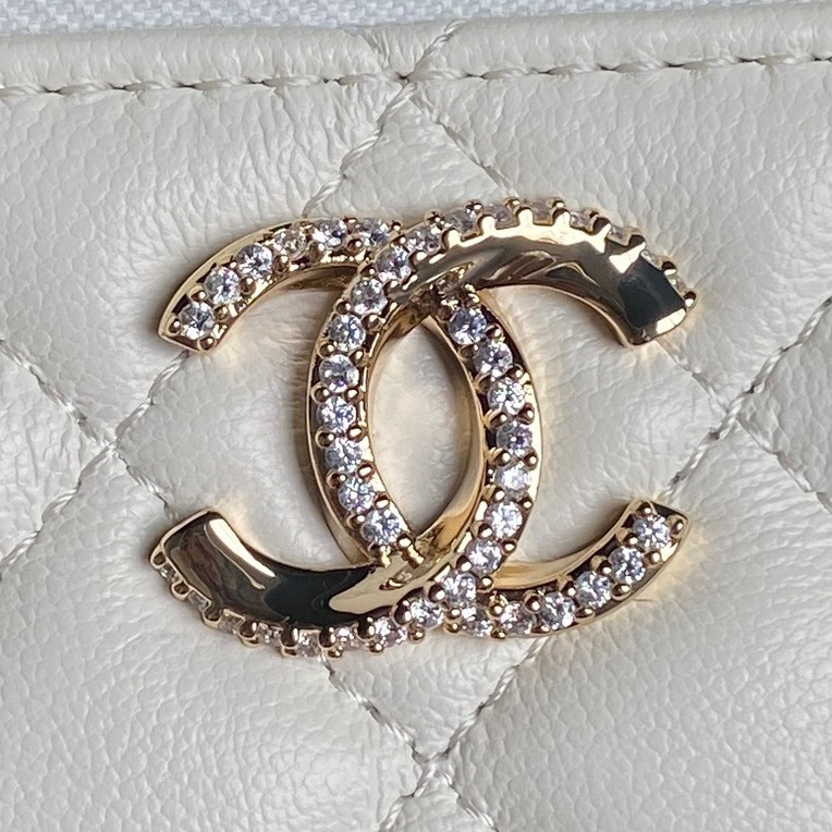 AP4317 17cm BL 2色 11