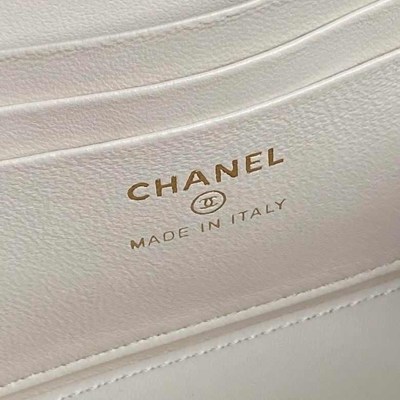 AP4317 17cm BL 2色 17