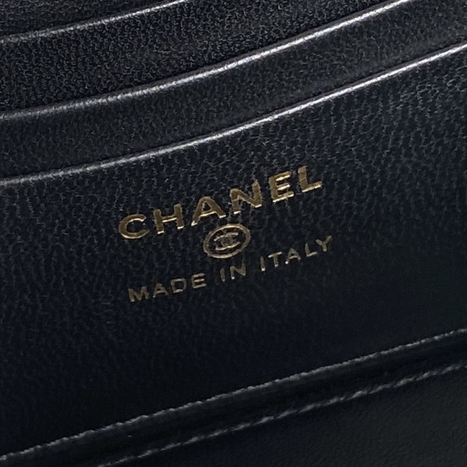 AP4317 17cm BL 2色 8