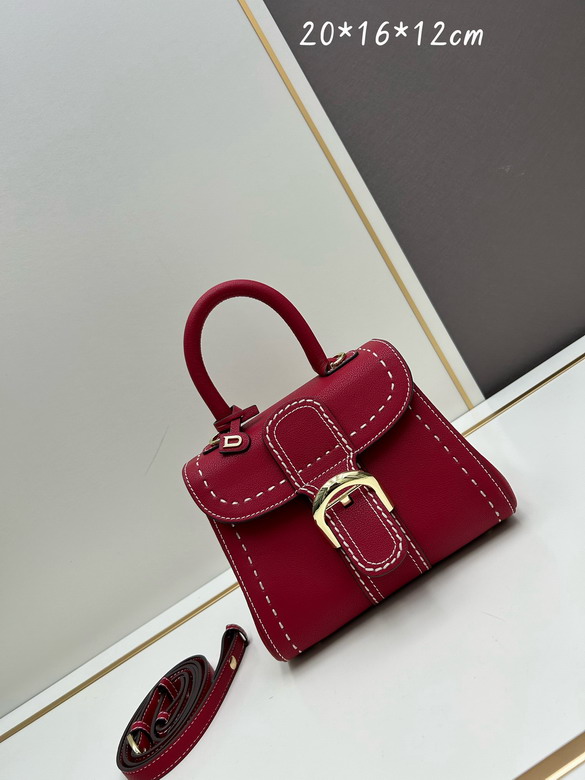 Delvaux 20x16x12cm jj_1