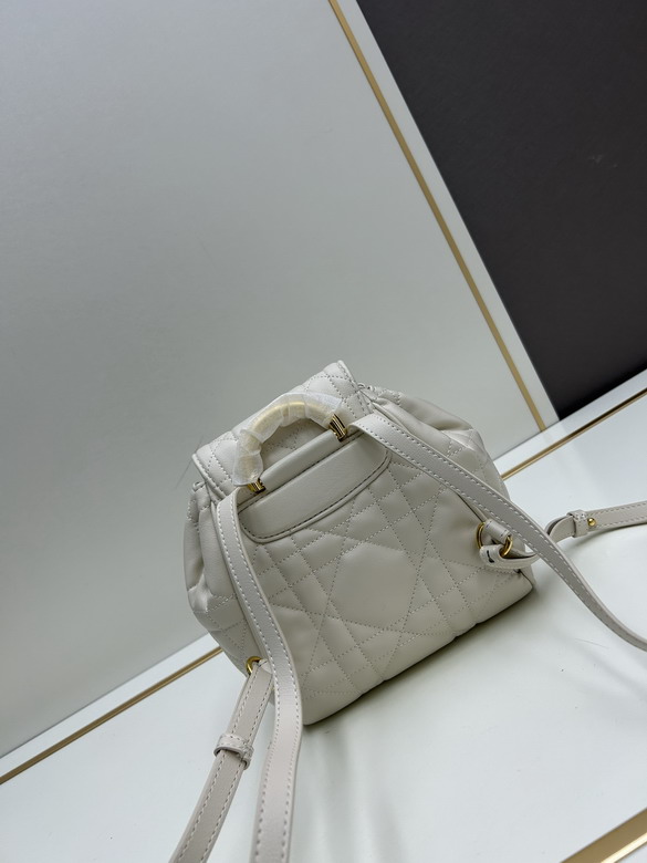 Dior 0320 18x20x8cm jj1_3