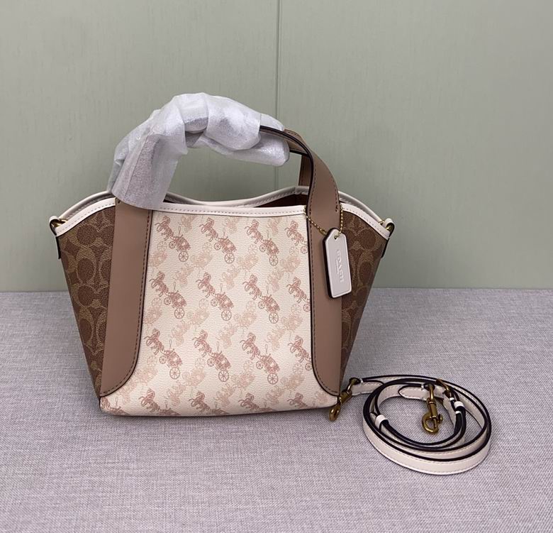 CZ317 23X12X8cm AZ 0