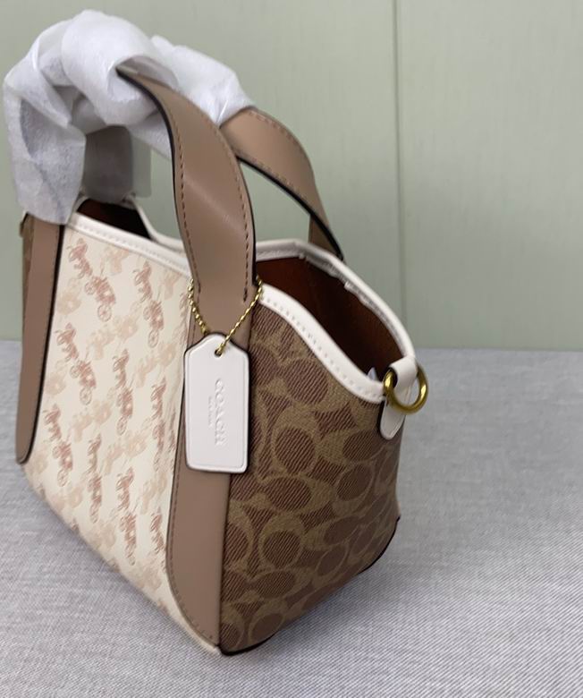 CZ317 23X12X8cm AZ 5