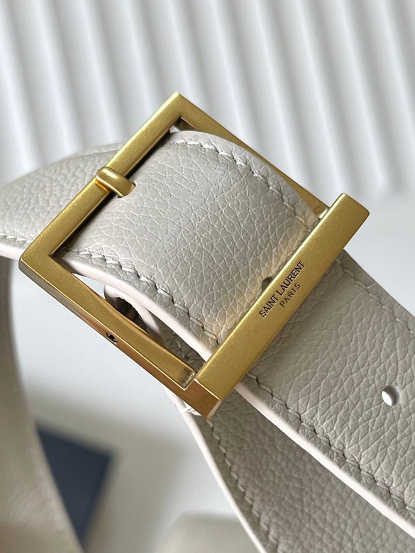 YSL 753837 30x31x13cm 8D_6