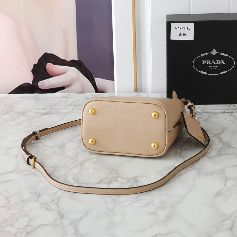 1019 20cm XMY 5色 12