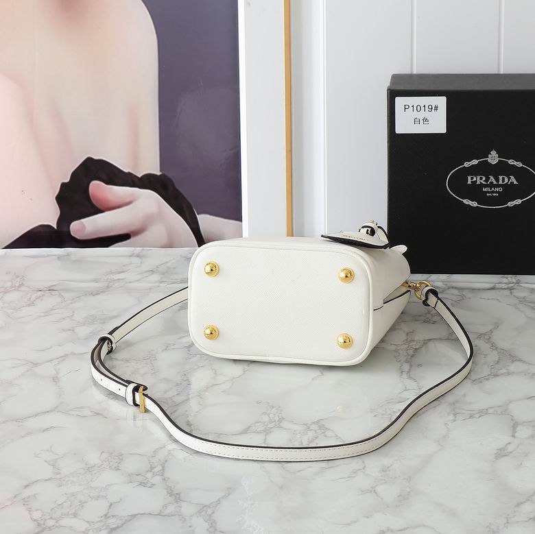 1019 20cm XMY 5色 30