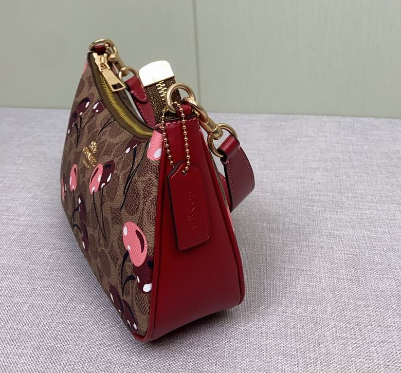 CY694 24.5X15X7cm AZ 5