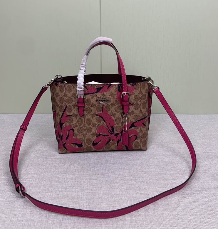 CZ767 25X19X11cm AZ 2色 10