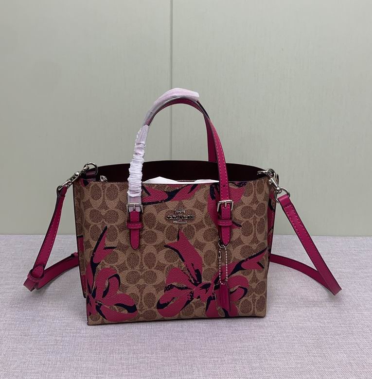 CZ767 25X19X11cm AZ 2色 11