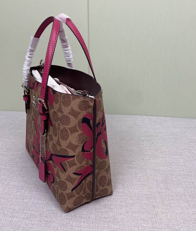 CZ767 25X19X11cm AZ 2色 14