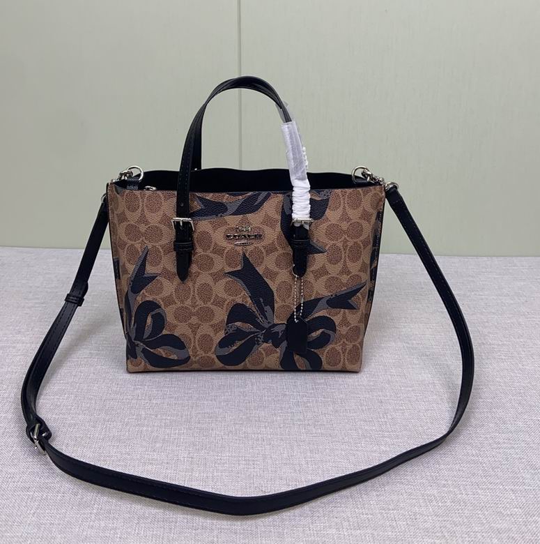 CZ767 25X19X11cm AZ 2色 1