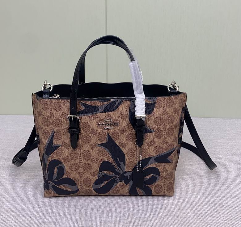 CZ767 25X19X11cm AZ 2色 2