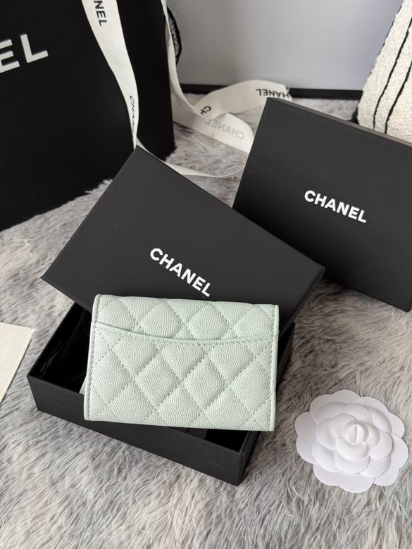 AP264 11X8.5X3cm YG 11色 11