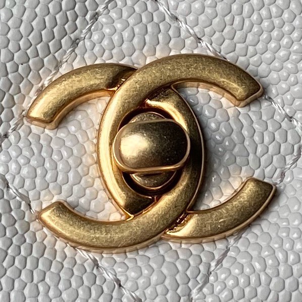 AP4062 19cm BL 2色 2