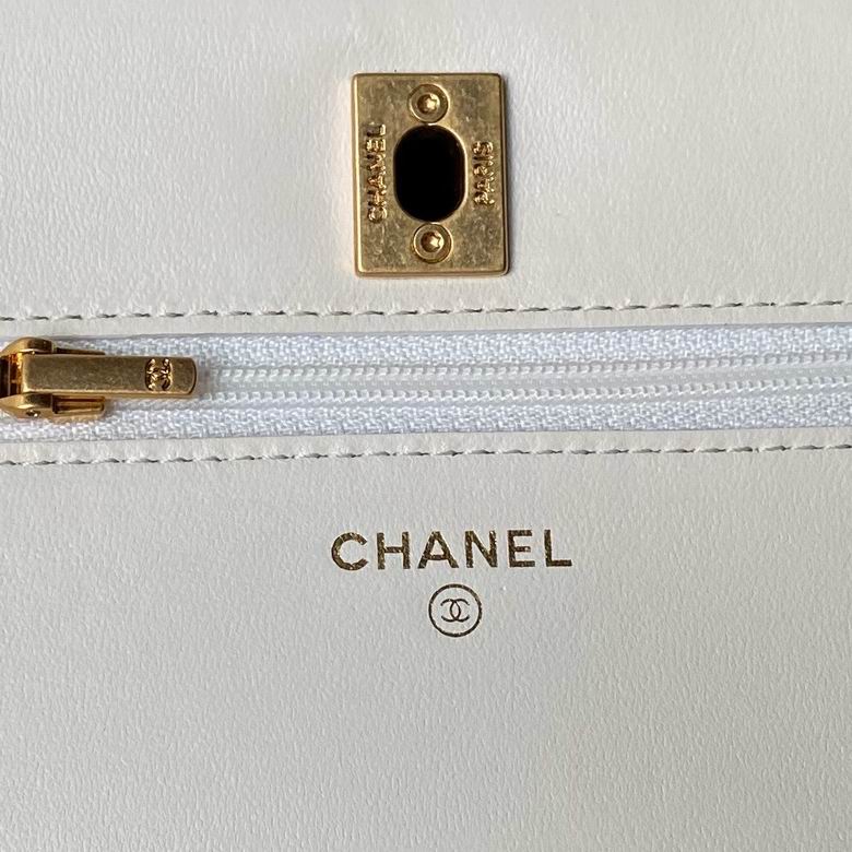 AP4062 19cm BL 2色 7