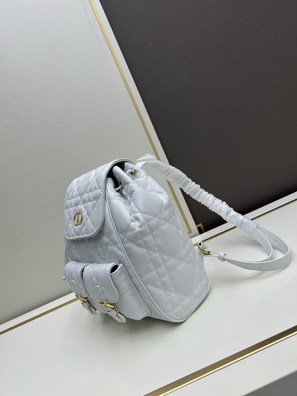 Dior 16944 23x17x11cm jj1_3