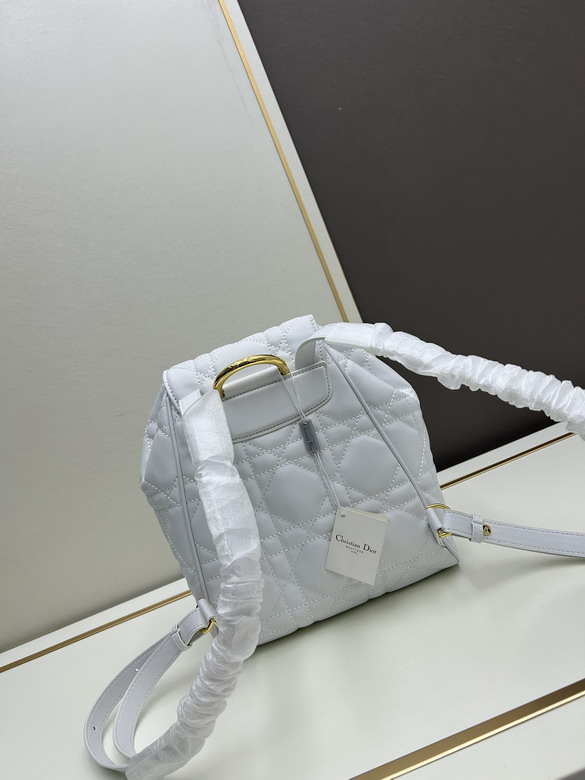 Dior 16944 23x17x11cm jj1_4