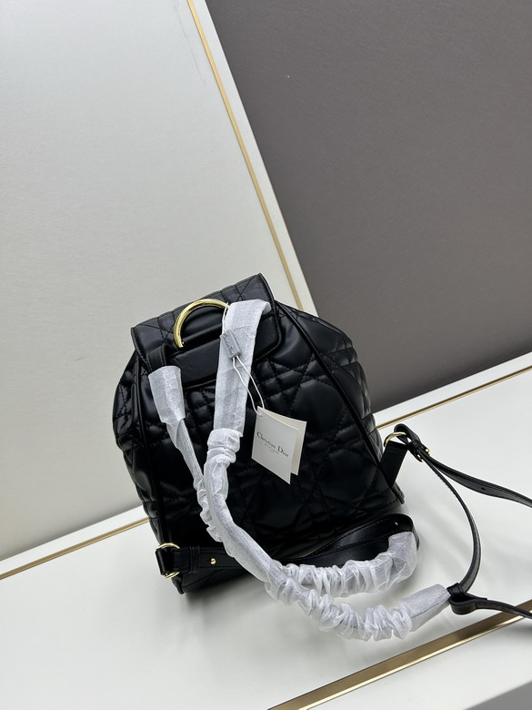 Dior 16944 23x17x11cm jj2_4