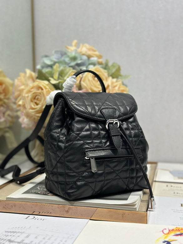 Dior D006 19 5x18 5x8 5cm yz_2
