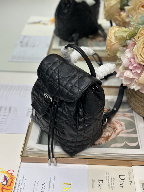 Dior D006 19 5x18 5x8 5cm yz_3