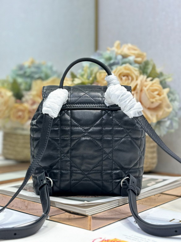 Dior D006 19 5x18 5x8 5cm yz_4