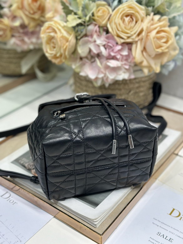 Dior D006 19 5x18 5x8 5cm yz_5