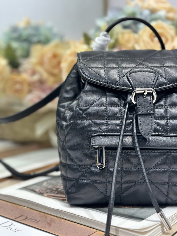 Dior D006 19 5x18 5x8 5cm yz_6