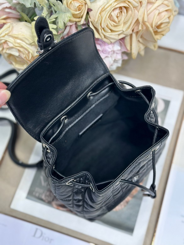 Dior D006 19 5x18 5x8 5cm yz_7